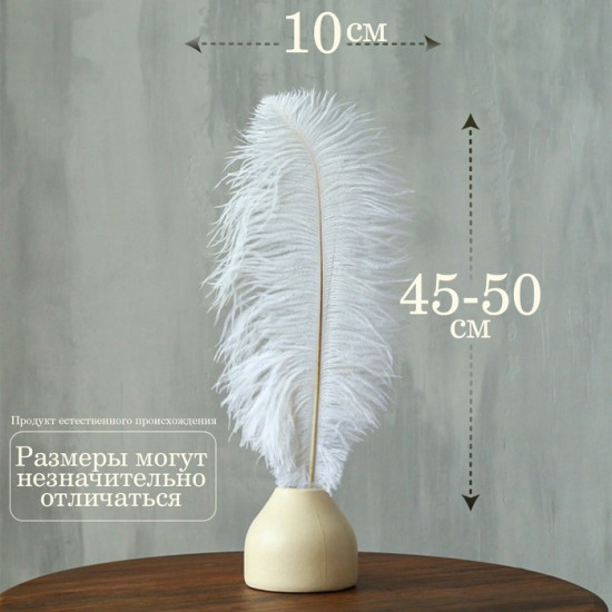 Перо для декора