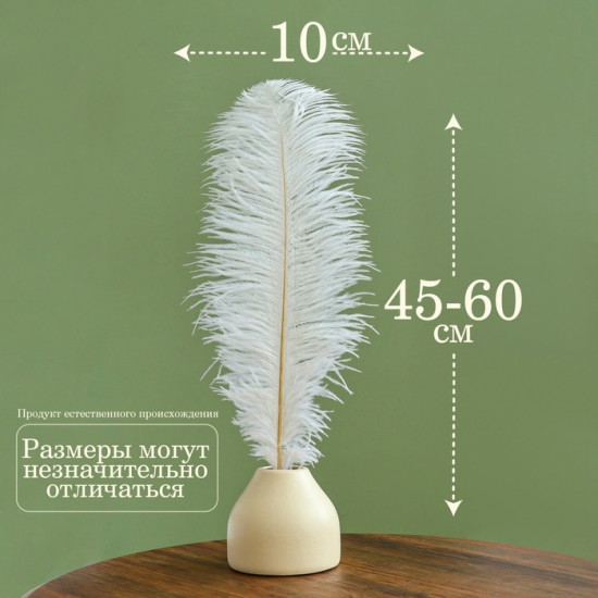 Перо для декора