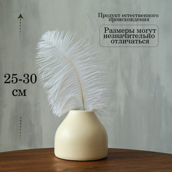 Перо для декора