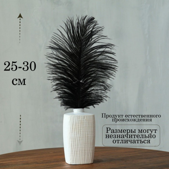 Перо для декора