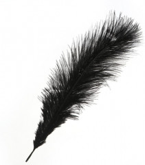 Перо для декора - Фото 2