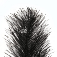 Перо для декора - Фото 3