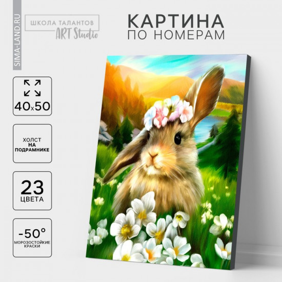 Картина по номерам с подрамником «Заяц»