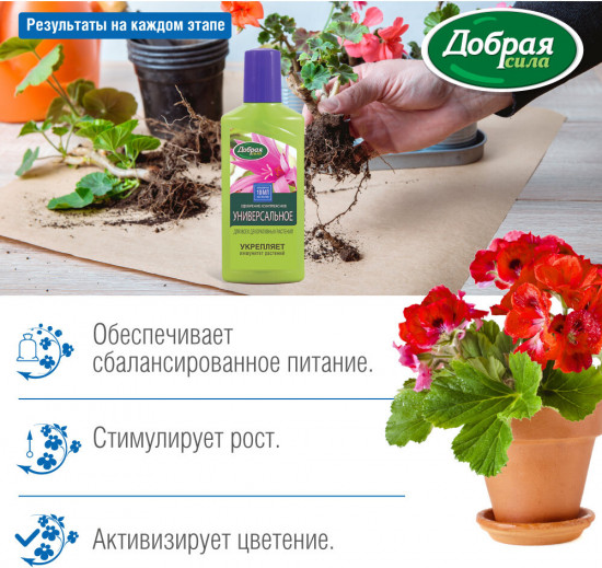 Удобрение для декоративных растений