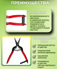 Ножницы цветочные - Фото 4