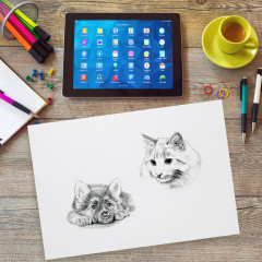 Бумага для рисования и графики - Фото 7