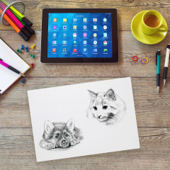 Бумага для рисования и графики - Фото 6