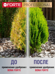 Удобрение «Для хвойных с аминокислотами» - Фото 2