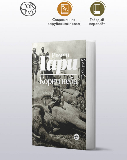 Корни неба