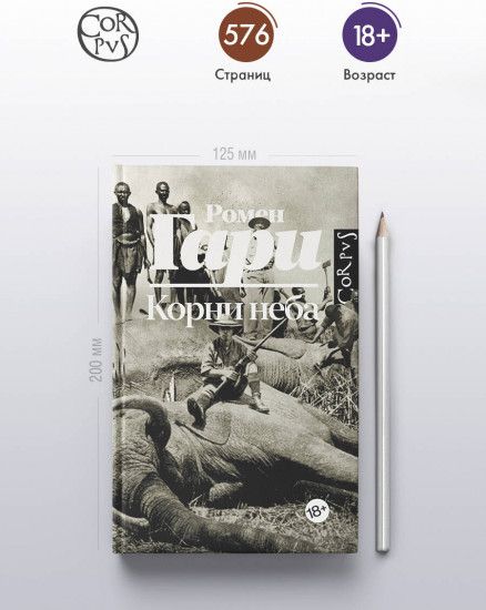 Корни неба
