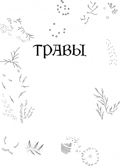 Травы. Магические запасы