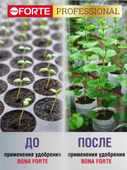 Удобрение «Универсальное» - Фото 4