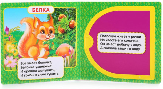 Книжка с окошками «Лесные животные»