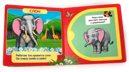 Книжка с окошками «Зоопарк»