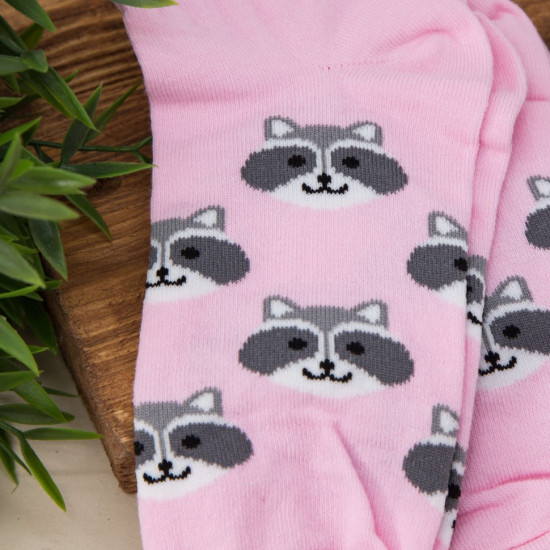 Носки женские «Raccoon»