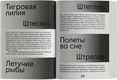 Сердце искателя приключений - Фото 3