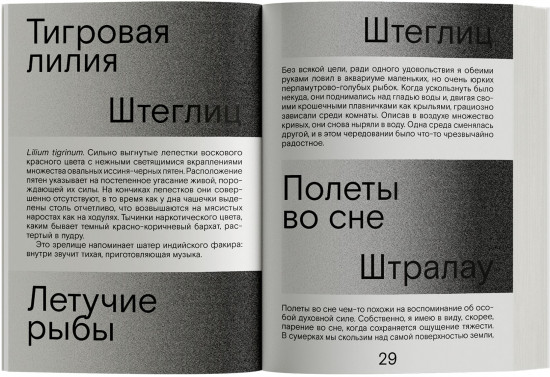 Сердце искателя приключений