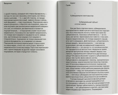 Под подозрением. Феноменология медиа - Фото 2