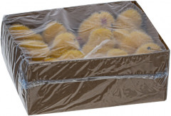 Набор декоративных фигурок «Цыпленок» - Фото 4