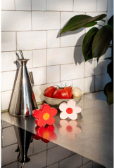 Набор из солонки и перечницы «Daisy» - Фото 2