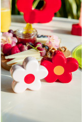 Набор из солонки и перечницы «Daisy» - Фото 9