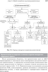 Алгоритмы дифференциальной диагностики. Общие жалобы у взрослых пациентов - Фото 5