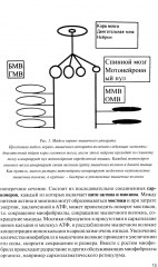 Физическая подготовка футболистов - Фото 8