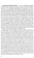Физическая подготовка футболистов - Фото 9
