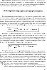 Физическая подготовка футболистов - Фото 10
