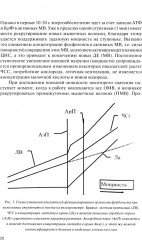 Физическая подготовка футболистов - Фото 13