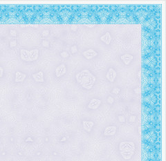 Сертификат-бумага - Фото 2