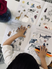 Развивающая книга «Әлемді танимыз! - Познаем мир!» - Фото 1