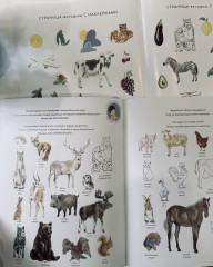 Развивающая книга «Әлемді танимыз! - Познаем мир!» - Фото 5