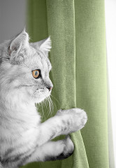 Комплект штор - Фото 6