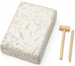 Набор для проведения раскопок «Рыбы» - Фото 2