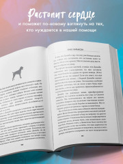 Надежда. Как спасение уличных собак изменило жизнь человека - Фото 7