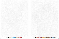 Раскраска по номерам «Fées, sorciers et magiciens» - Фото 3