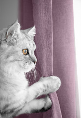 Комплект штор - Фото 7