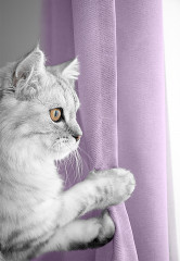 Штора - Фото 7