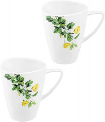 Набор кружек «Ботанический атлас» - Фото 3