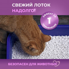 Ликвидатор запаха мочи для кошачьего туалета «Хвойный лес» - Фото 10
