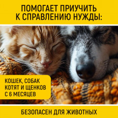 Спрей для приучения к туалету кошек и собак - Фото 2