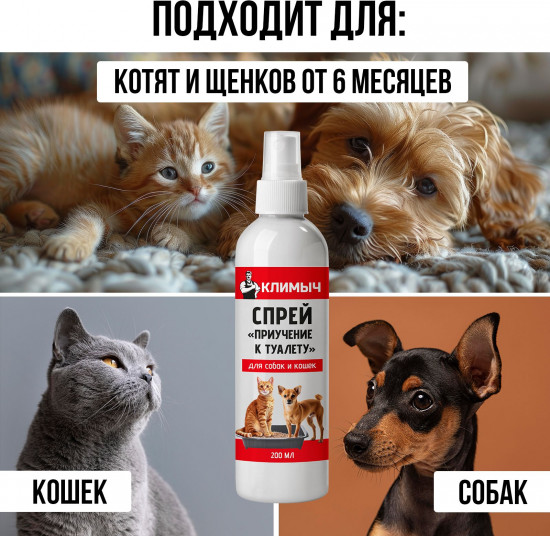 Спрей для приучения к туалету кошек и собак