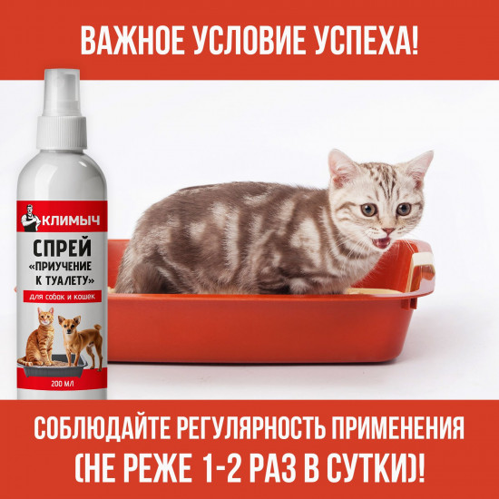 Спрей для приучения к туалету кошек и собак