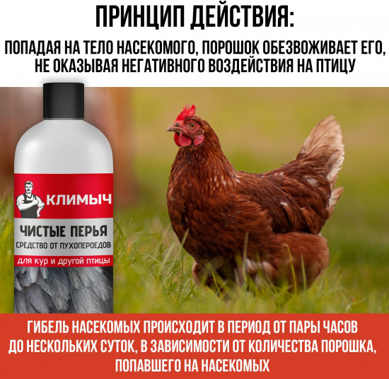 Средство для кур от блох, клещей и пухоедов «Чистые перья»
