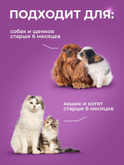 Спрей для приучения к туалету кошек и собак - Фото 3