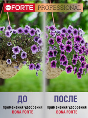 Удобрение «Для петуний, бегоний, пеларгоний» - Фото 4