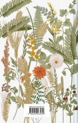 Новые Авонлейские хроники - Фото 1