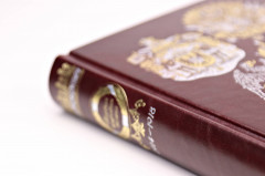 Первая мировая война - Фото 5