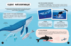 Что? Как? Почему? Мои первые знания про животных - Фото 5